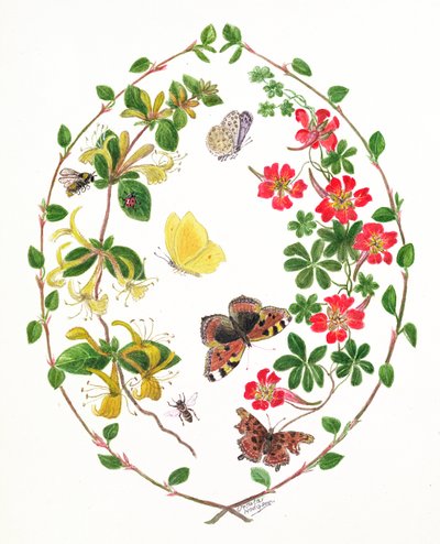 Tropaeolum en kamperfoelie door Ursula Hodgson